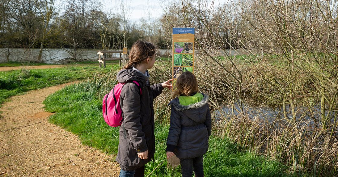 Le Pays fléchois, capitale française de la biodiversité - Marais de Cré-sur-Loir / La Flèche